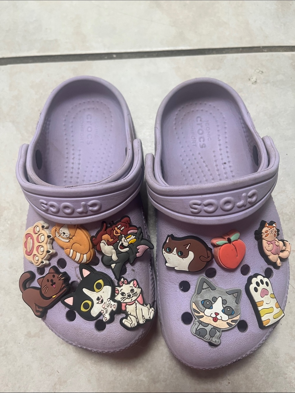 CROCS Lilac Classic Clog with Cute Cat Charms size 10